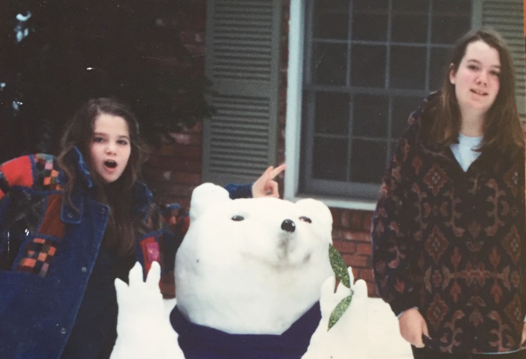 The Blizzard of&nbsp;93