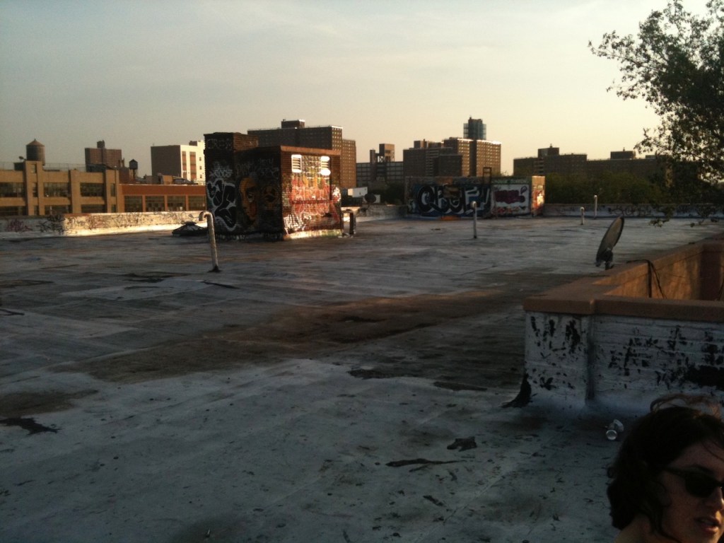 The Immigrant Experience