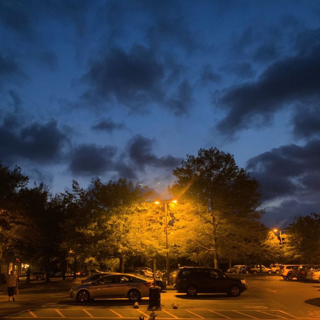 Plague Diary: March 24,&nbsp;2020