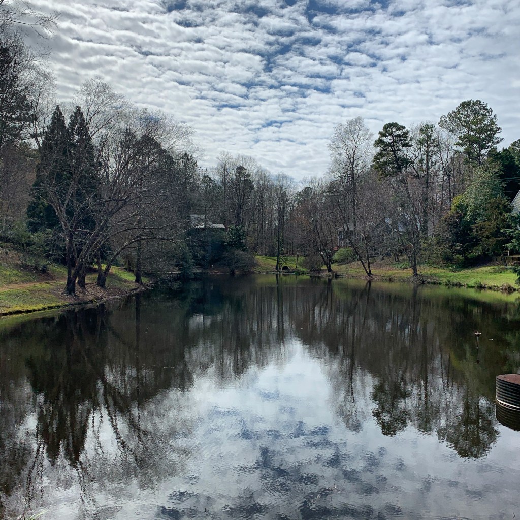 Plague Diary, March 19,&nbsp;2020