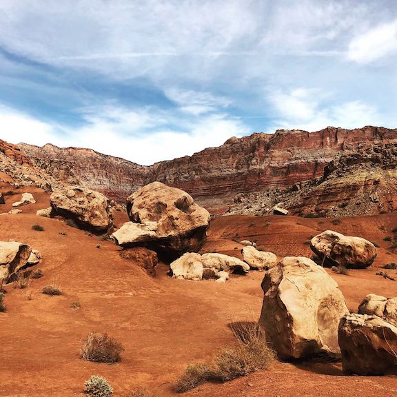 Plague Diary, April 7,&nbsp;2020