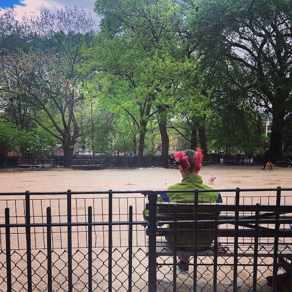 Plague Diary: April 6,&nbsp;2020