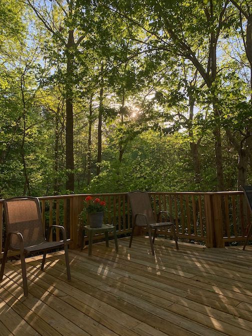 Plague Diary: April 10-11,&nbsp;2020