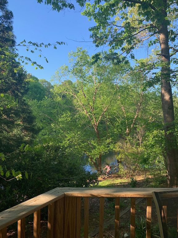 Plague Diary, April 13,&nbsp;2020