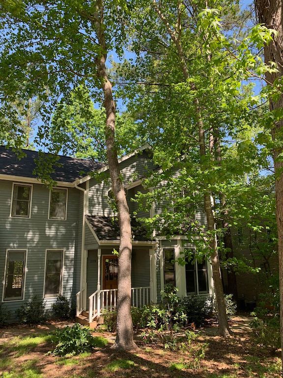 Plague Diary, April 15-16,&nbsp;2020