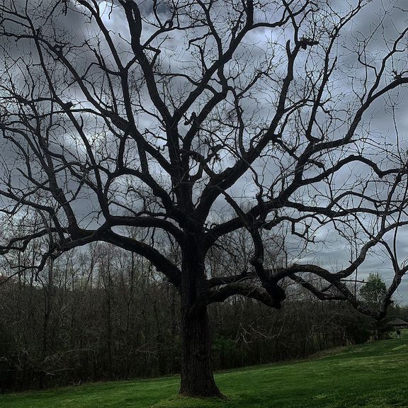 Plague Diary, April 30,&nbsp;2020