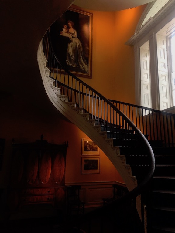 Plague Diary, June 22,&nbsp;2020