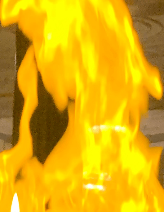 Plague Diary, June 1,&nbsp;2020