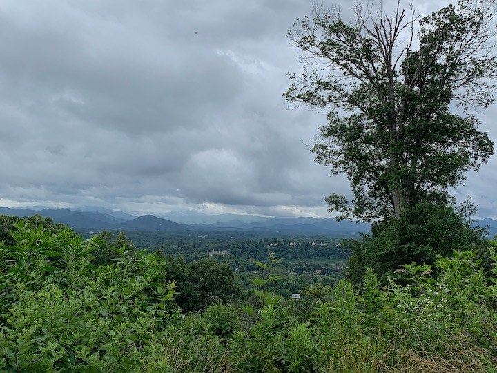 Plague Diary: June 30,&nbsp;2020