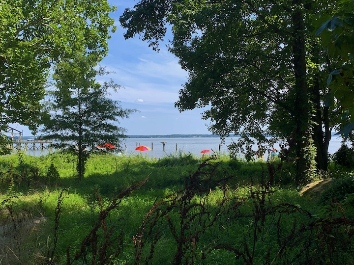 Plague Diary: August 6,&nbsp;2020