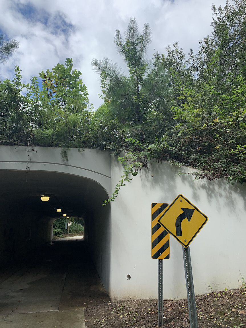 Plague Diary: August 24,&nbsp;2021