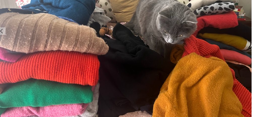 An Act of&nbsp;Velour